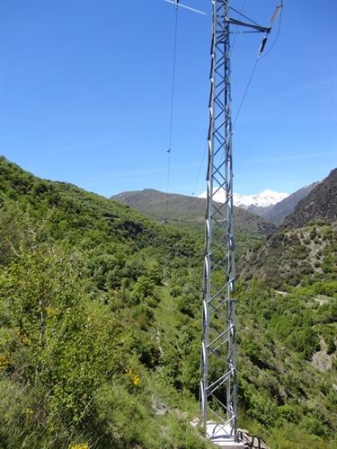 Cataluña. Endesa reforma una línea eléctrica en Sort para proteger a las aves del Pirineo de Lleida
