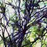 CCOO denuncia la opacidad del Ministerio de Sanidad respecto al riesgo químico