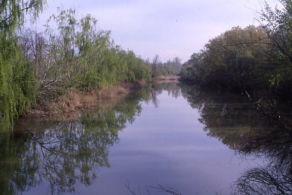En Talavera se consiente que se siga contaminando el río Tajo