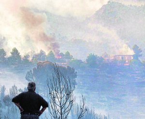 Regeneración de los efectos del incendio del Parque Natural de Mariola