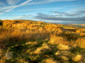 Spanish consortium to erect Central America’s largest wind farm