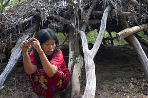 Llamamiento a restaurantes rusos para que no importen carne de Paraguay