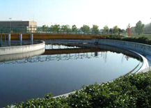 Las mejoras en colectores reducen en un 5