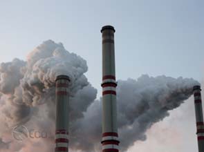 N.R.D.C. fights back