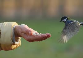 Santander con el Día Mundial de las Aves