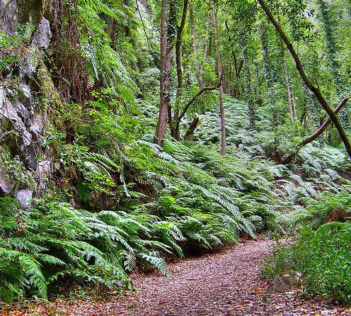 Medio Ambiente y Cabildo grancanario invertirán casi 900.000 euros en 7 proyectos de la Reserva de la Biosfera