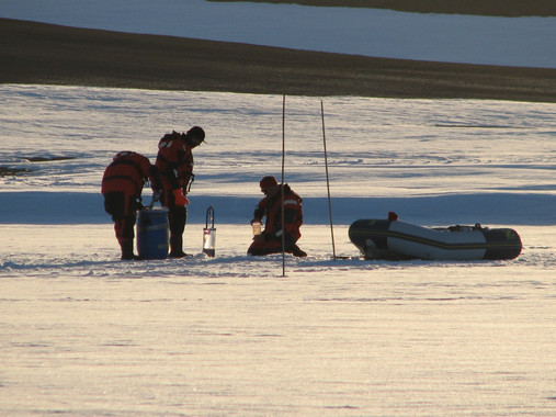 Descubren por primera vez la comunidad de virus de la Antártida