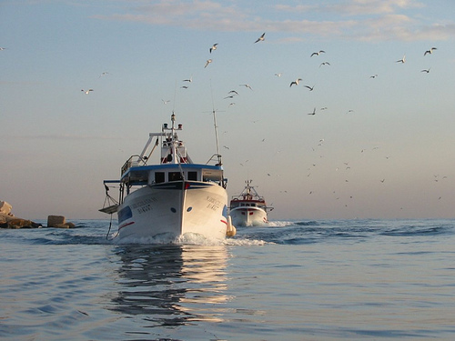 91 países alcanzan un acuerdo internacional contra la pesca ilegal