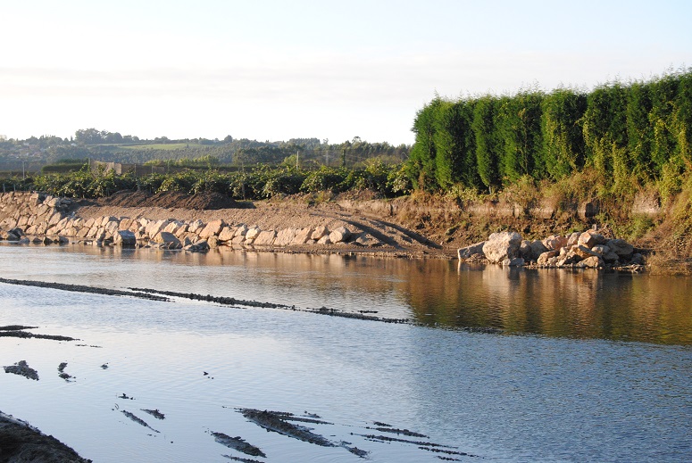 Asturias. La escollera del rio Nalón es ilegal