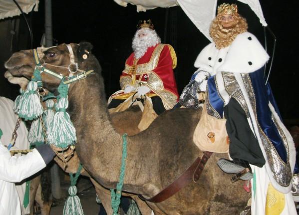 Denuncian el alquiler de animales por parte de los zoos