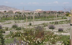 El Parque del Andarax (Almería) contará con 15 puntos de luz alimentados por placas fotovoltaicas