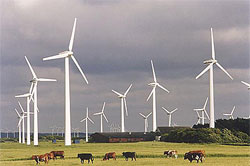 Fersa vende un parque eólico por 10