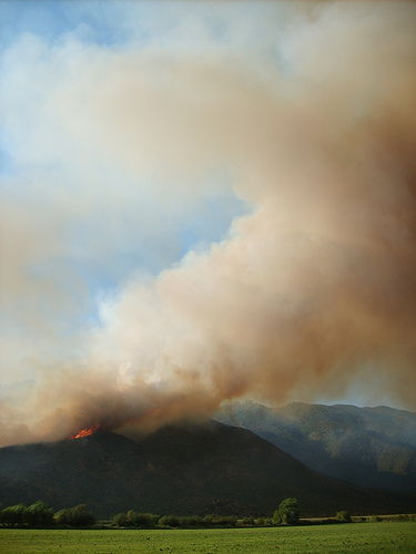 El Congreso aprueba definitivamente la Ley que concede ayudas urgentes para paliar daños por fuegos