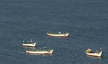 Asociación para la Pesca