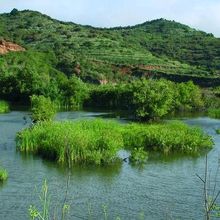 Dos estudiantes de la Universidad de Cádiz