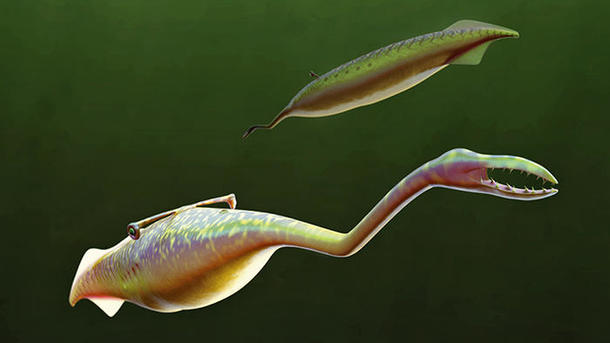 Qué sabes del Monstruo Tully