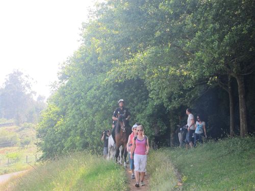 Policía Nacional a caballo contra los incendios forestales en Galicia