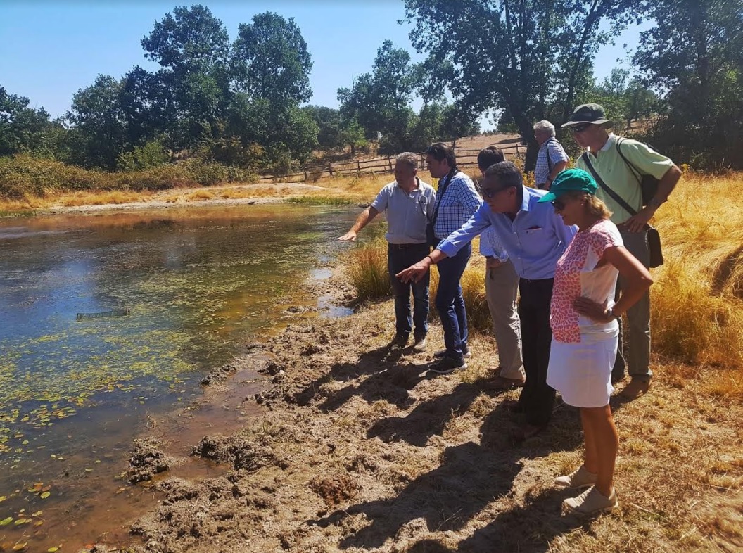 La dehesa más estudiada