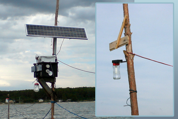 Pesca de camarón con lámparas LED en Brasil