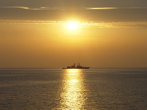 Peligra ecosistema del Golfo de México