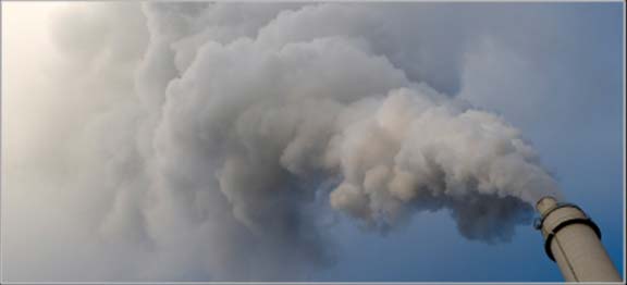 New Zealand on track to Kyoto commitments – government