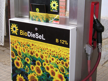 El objetivo de biocarburantes planteado por el Ejecutivo en 2014