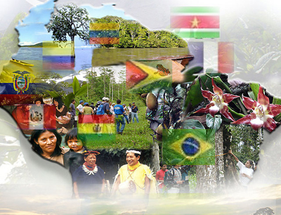 Los muy tontos no saben lo que dicen