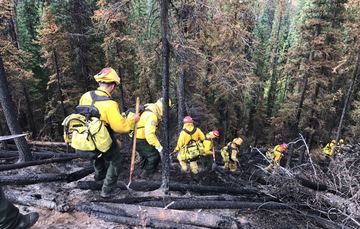 Brigadistas mexicanos se solidarizan con Canadá