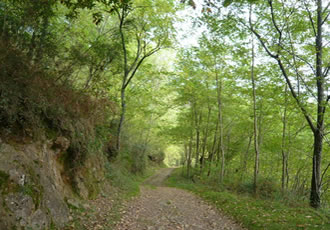 Las obras de adecuación de la vía verde del Bidasoa comenzarán la próxima semana
