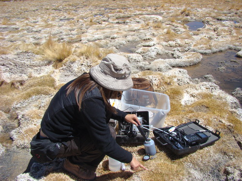Chile analiza composición de la biosfera microbiana del salar de Huasco