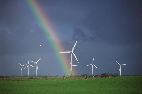 El sector eólico pierde 255 millones en el primer semestre por las medidas tomadas por el Ejecutivo