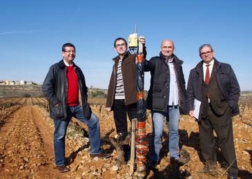 Sensores para conocer en tiempo real el momento idóneo de la vendimia