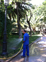 Medio Ambiente intensifica las tareas de mantenimiento en verano en espacios verdes