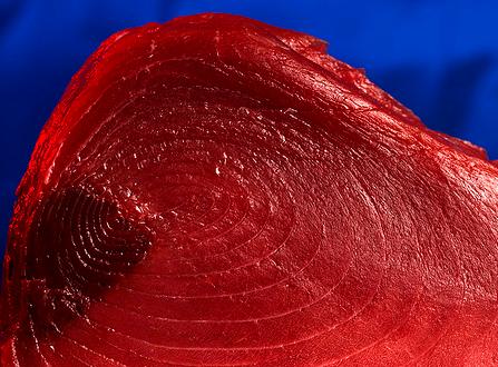 CITES no prohibirá el comercio  internacional de atún rojo