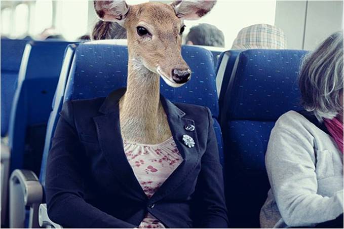 PNUMA arranca una campaña hacia un transporte sostenible y una economía verde