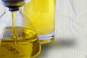 El Gobierno puso en marcha un proyecto de inversión en biomasa