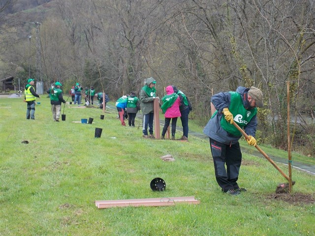 España debe y puede impulsar el sector forestal y la gestión sostenible y promover los productos forestales