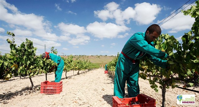 Luzón consigue el certificado de bodega medioambientalmente sostenible