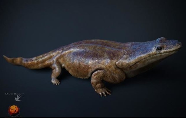 Conoce la supersalamandra depredadora de hace 220 millones de años