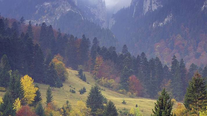 Del 4 al 10 de octubre. El Congreso Mundial de Tierras Silvestres WILD10 se hará en Salamanca