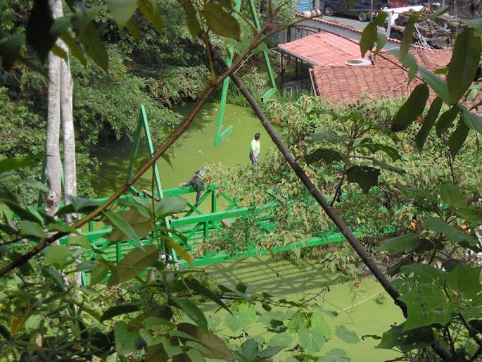 Costa Rica. Fundazoo asegura que reconstruyó el 80% del Simón Bolívar