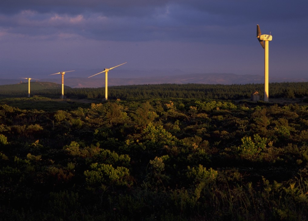 Siemens suministrará 260 turbinas de viento a Enel Green Power para sus parques eólicos en Europa