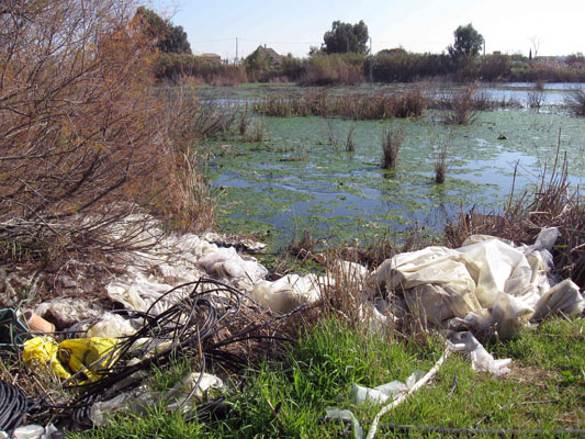 Los humedales de Sanlúcar de Barrameda en estado de ‘abandono’