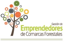 La innovación sostenible para emprendedores ‘verdes’ como clave para rentabilizar un negocio