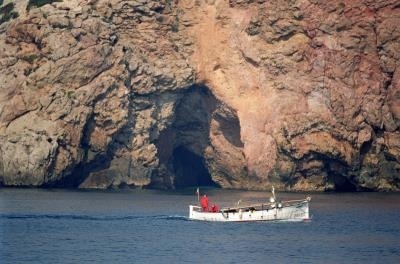 Seabird reitera que el proyecto se tramita en fraude de ley