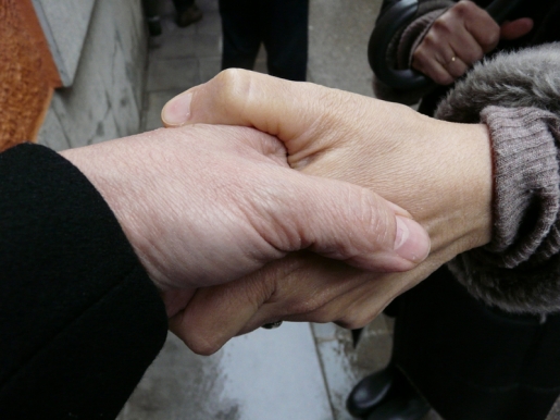 ECO-NOMÍA Mirando por el bien común