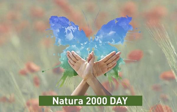 Con las 4.000 fotos recibidas se van a restaurar 10 hectáreas y se van a retirar 64 kilos de perdigones en Doñana