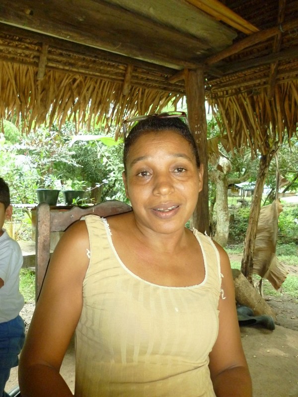 Preocupa el uso indebido de los manglares en Chame