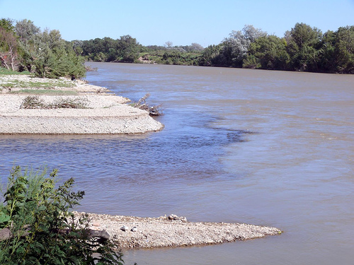 Plan piloto en Cataluña para controlar especies exóticas de peces en el río Ebro