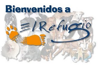 Mata a su perra de una patada por defecar en casa